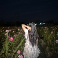 sy_1499_da