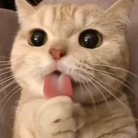 original sound - kucinggarong301