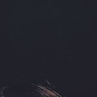 _silvahz