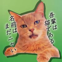 読売ジャイアンツ