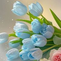 mistica68_2