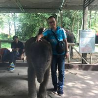 nhạc nền - Mr Thái✅