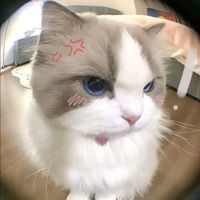 phoo_pky01