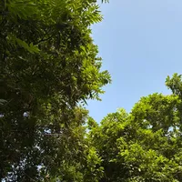 original sound - maarij_ch06