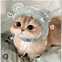 suara asli - 麗卡/Rika