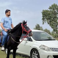 kozhyaradbull01
