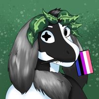 thatrandom.furry_