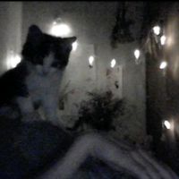 оригинальный звук