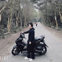 nhạc nền - Gấu 🧸🧸