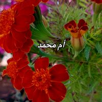astagfar.alah