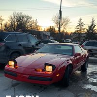 lundar_customs