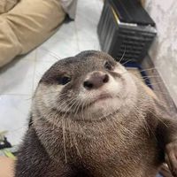 dontletmehateumorethanrn