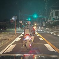 sayamori.01