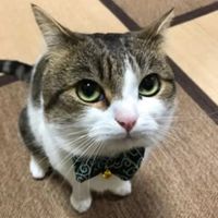 original sound - iskandar