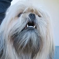 juliomercer956_music.ofc