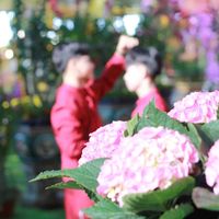 nhạc nền - Minhh Duyy