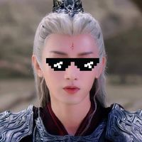 n29_qiqi