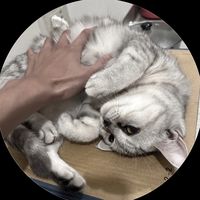 原聲 - L
