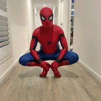 illawarrasspidey