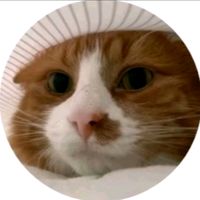 itipedia_lll