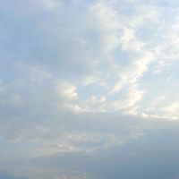 suara asli - tidak di temukan