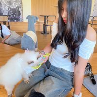 duck_0635