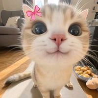 original sound - Hsaung🌺💙