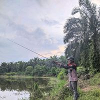 suara asli