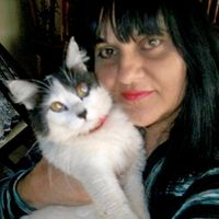 mensagensdepazgatinhos