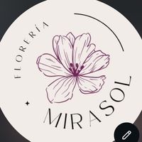 floreria.mirasol