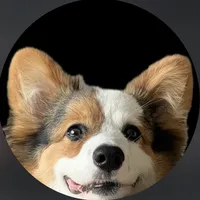 original sound - staywithnoppo