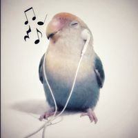 sonido original