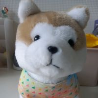 오리지널 사운드 - 강아지