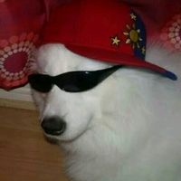 yoshi_i3