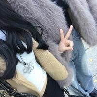 nz333__