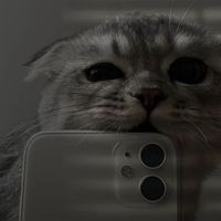 原聲 - 💫 be self ❥