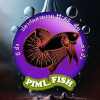 prime.fish3
