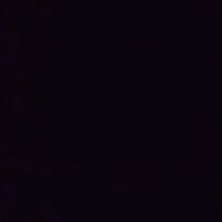 so.f1ii_8
