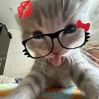 original sound - trend_dancexx