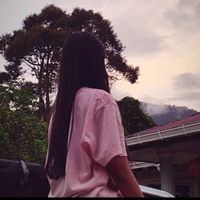 jiale5331