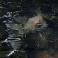 オリジナル楽曲 - 10_zry