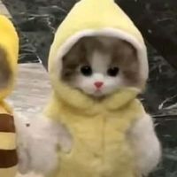 suara asli - lia