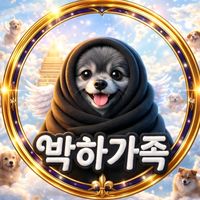 오리지널 사운드 - ✨️⚜️박하사탕⚜️✨️