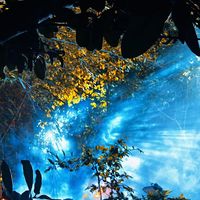 nhạc nền - Bạch Uyển Đình