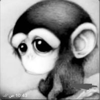 almqqwxp