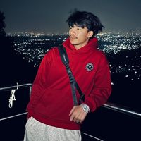 limbey___
