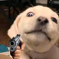 nangnoy.seno