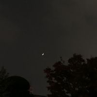 오리지널 사운드 - 띵곡💿