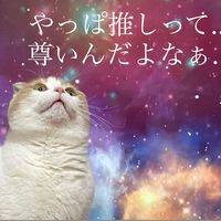 オリジナル楽曲 - 緑の物体