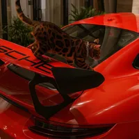 original sound - kazakhmuzzone